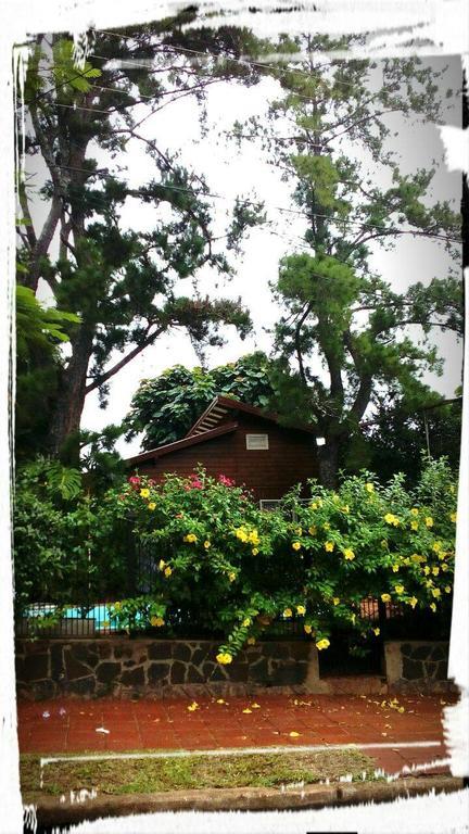 Tucan Hostel 伊瓜苏港 外观 照片